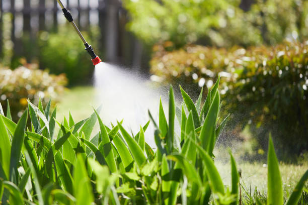 24/7 Emergency Mosquito Control experts in Lykens, PA